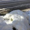 雪かきで道路に雪を捨てるのは、とりあえず違法だからなという話